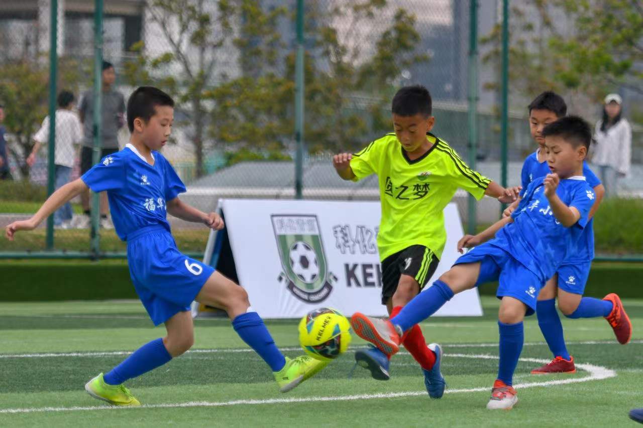 定著球員的 定著球員的